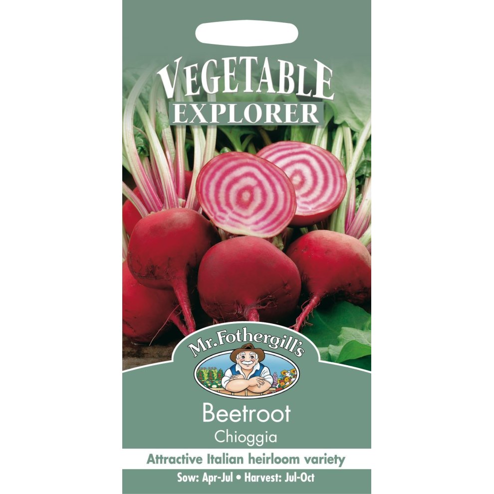 Pictorial seed packet featuring vibrant Chioggia beetroot with pink and white concentric rings, labeled "Vegetable Explorer" and detailing sowing and harvesting times.