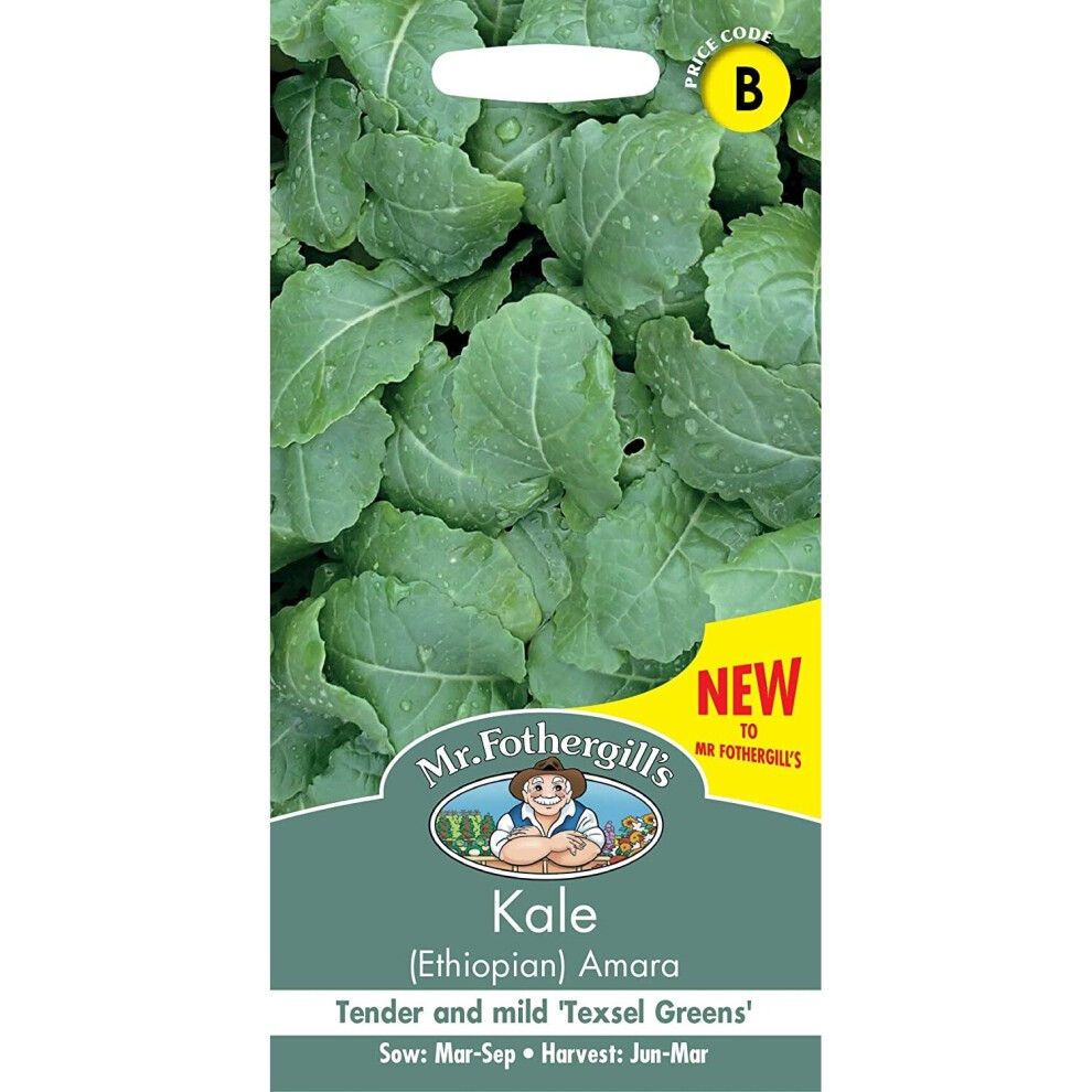 Seed packet for Mr Fothergill's Ethiopian Amara Kale, featuring a vibrant green leafy background, with text highlighting "NEW" and details about sowing and harvesting.