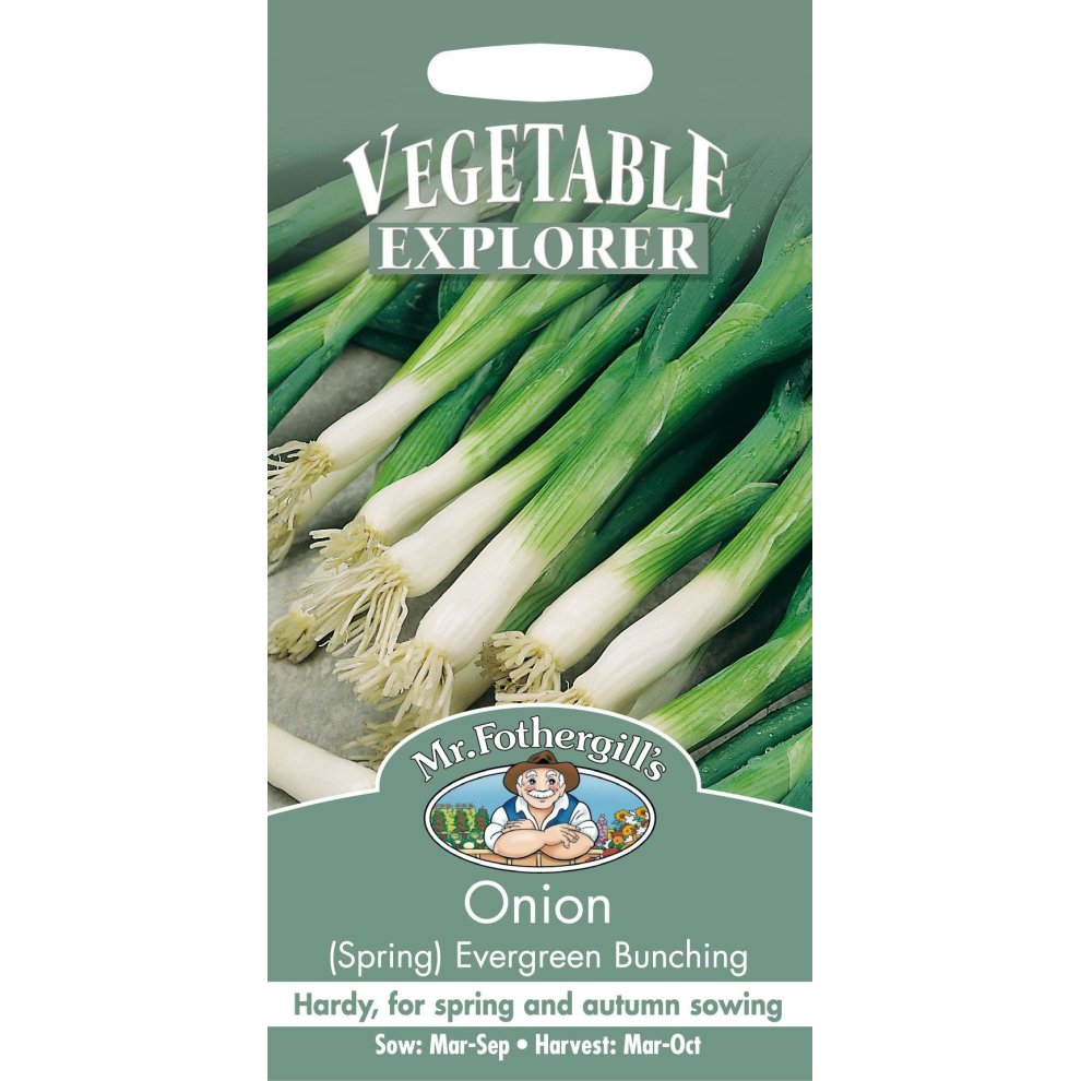 Pictorial seed packet for Mr Fothergill's Spring Onion Evergreen Bunching, featuring green onions with white roots, on a light green background, labeled with sowing and harvesting details.
