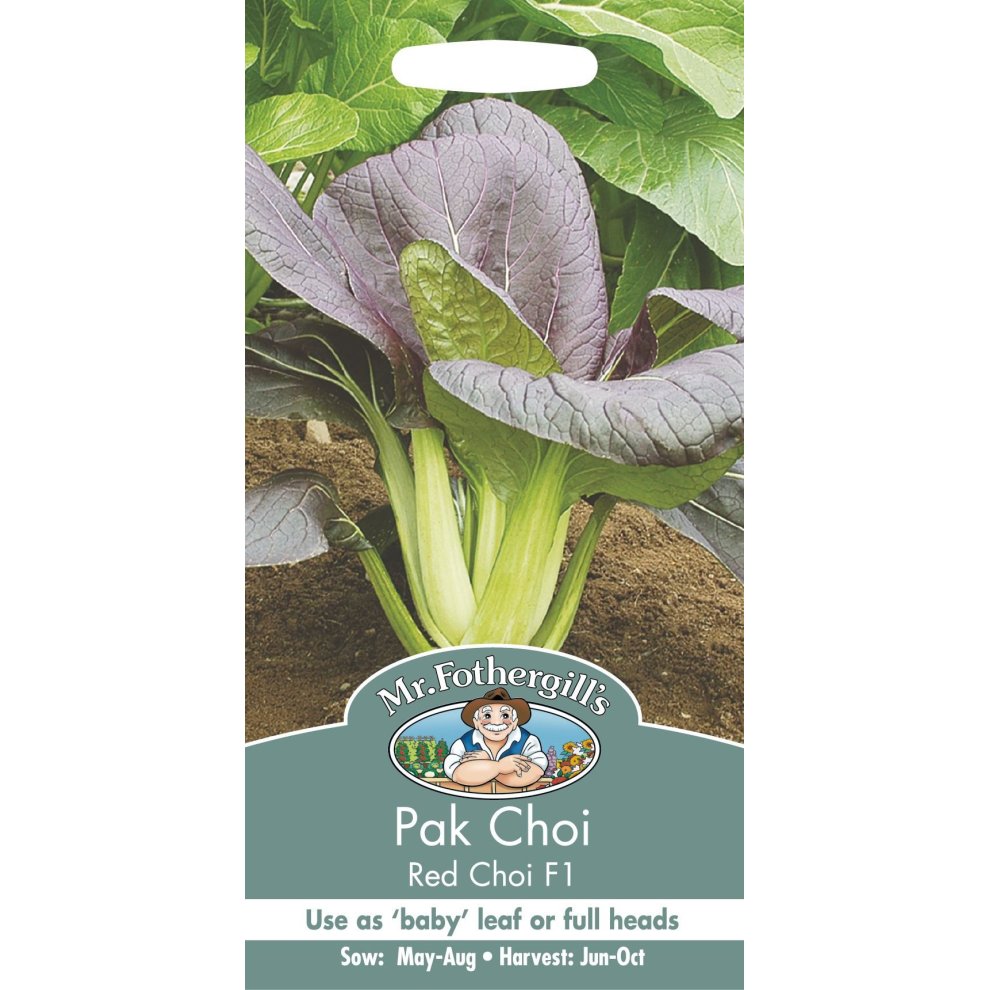 Pictorial seed packet for Mr Fothergill's Red Choi F1, featuring vibrant green leaves with reddish-purple hues, and details on sowing and harvesting times.