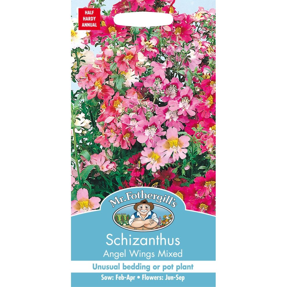 Pictorial seed packet featuring a vibrant mix of pink, white, and purple Schizanthus flowers, labeled "Angel Wings Mixed" with sowing instructions and branding from Mr Fothergill's Seeds.