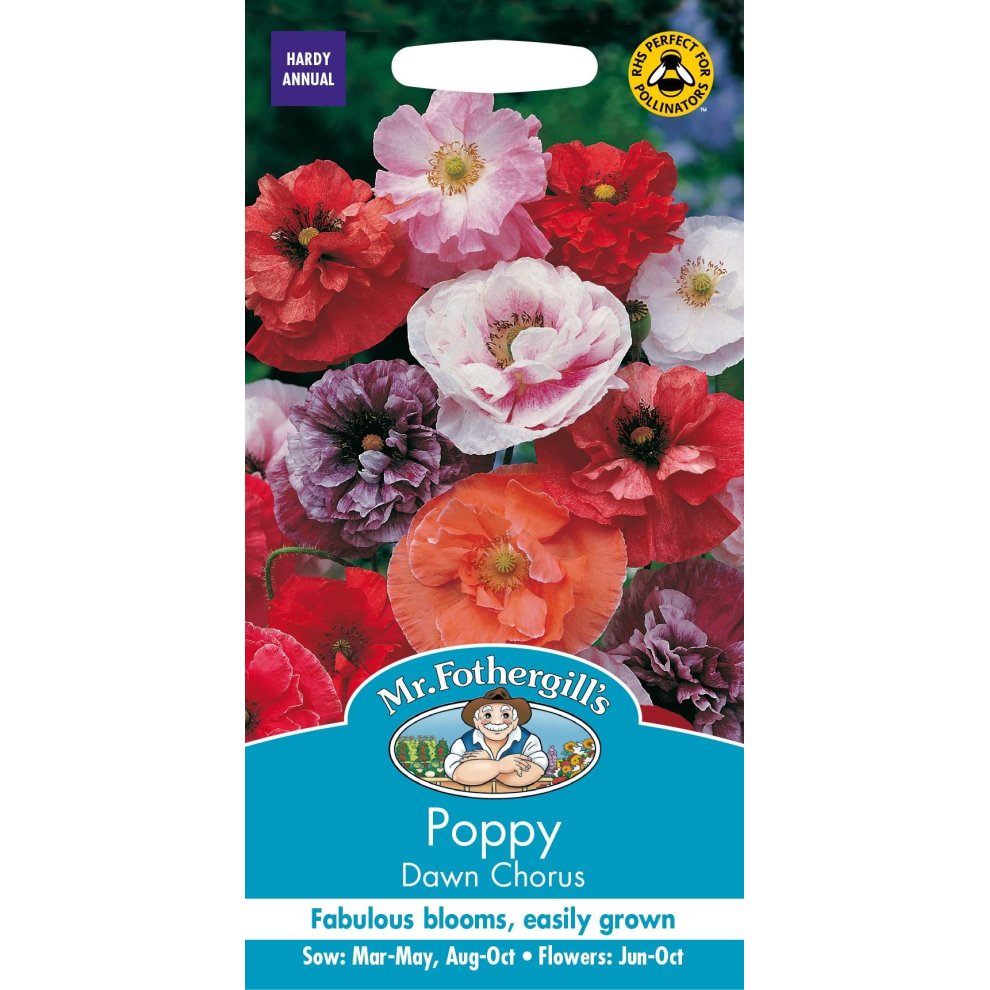Pictorial seed packet for Mr Fothergill's Poppy Dawn Chorus, featuring vibrant red, pink, and white poppies, with details on sowing and flowering times.