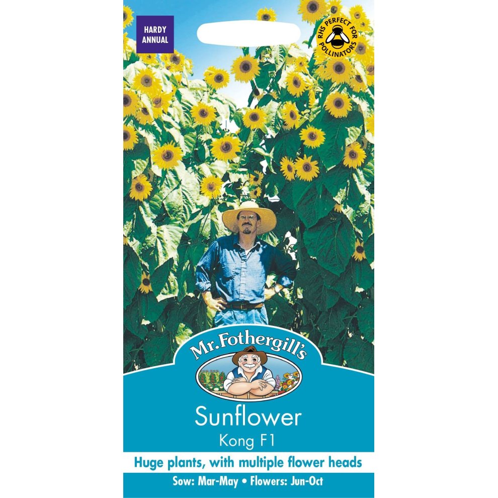 Pictorial seed packet for Mr Fothergill's Sunflower Kong F1, featuring a man among tall sunflowers, with vibrant yellow flowers and blue branding at the bottom.