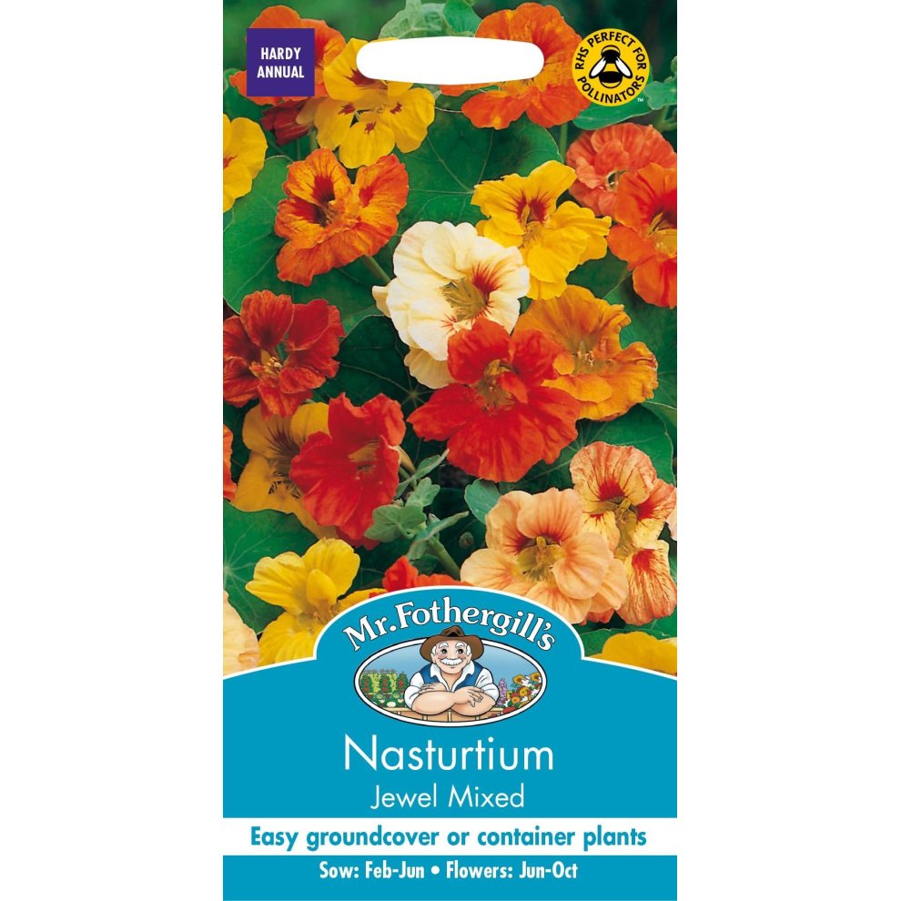 Pictorial seed packet for Mr Fothergill's Nasturtium Jewel Mixed, featuring vibrant orange, yellow, and cream flowers with green leaves, labeled for easy groundcover or container planting.