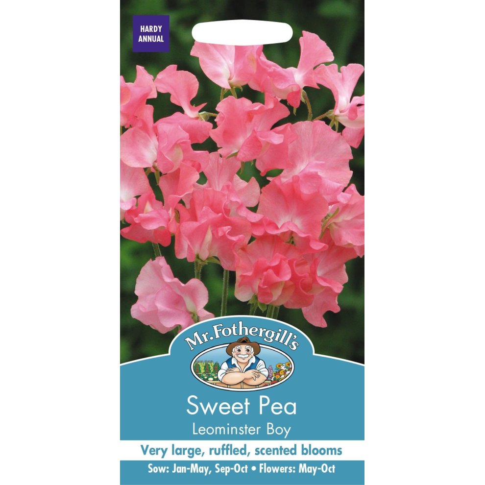 Bright pink, ruffled sweet pea flowers on a seed packet labeled "Mr Fothergill's Sweet Pea Leominster Boy," with sowing and flowering details at the bottom.