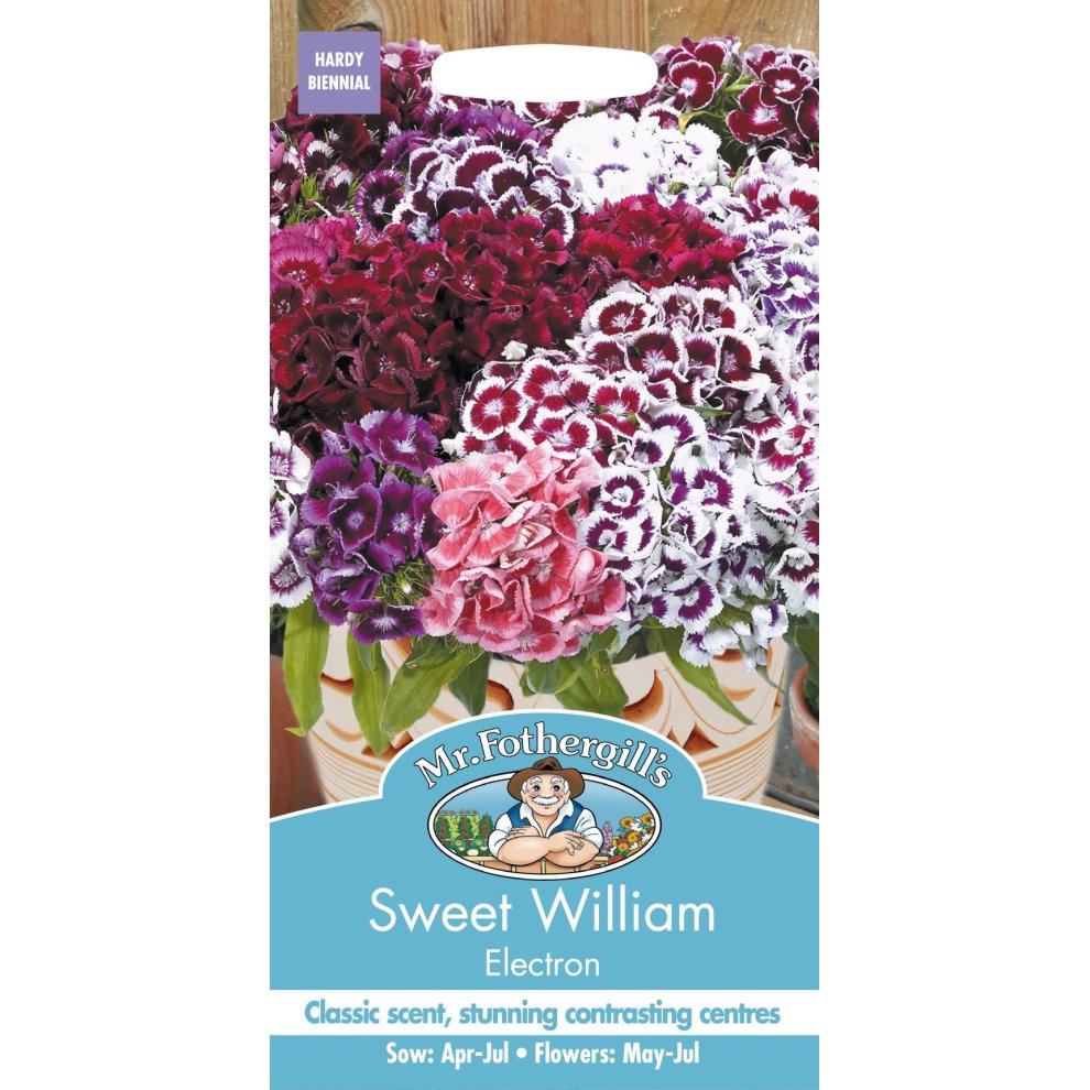 Pictorial seed packet featuring vibrant Sweet William flowers in shades of red, pink, and purple, with a blue label and text detailing sowing and flowering information.