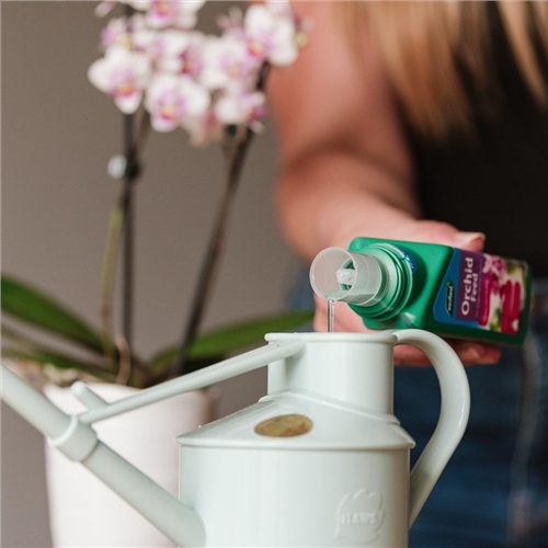 Orchid Feed Concentrate - image 4
