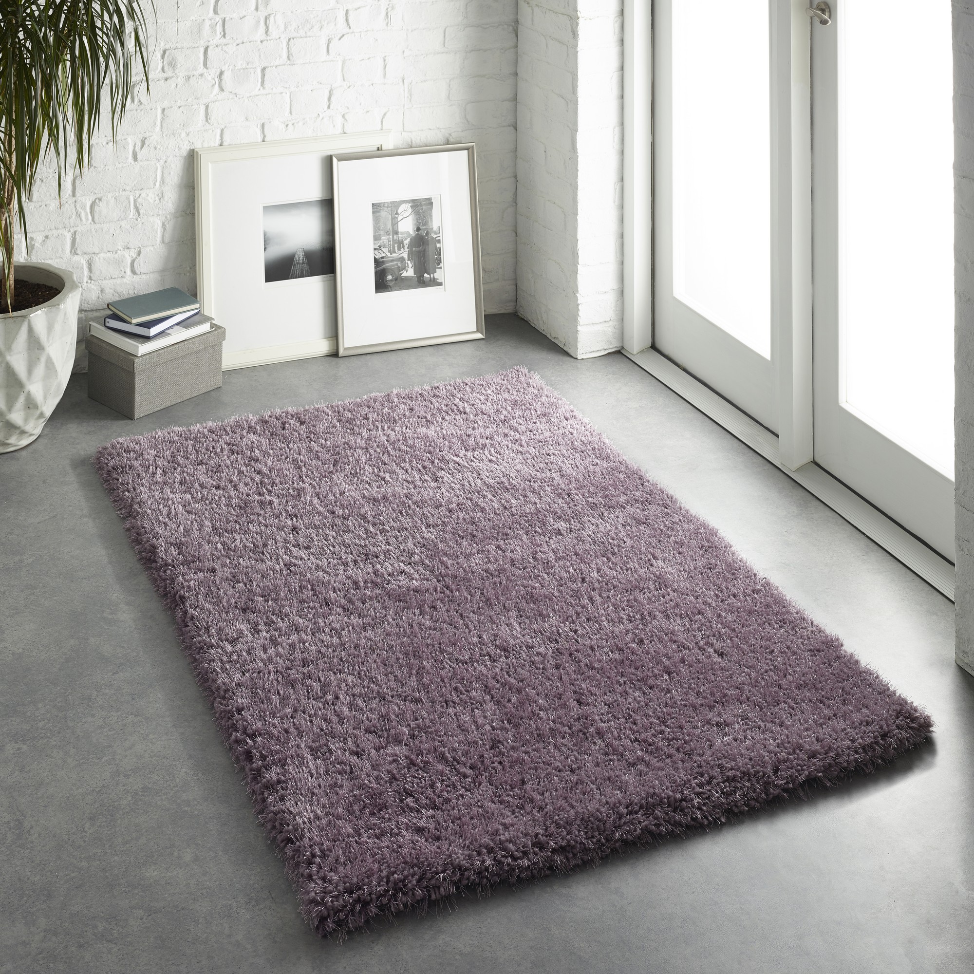 Lavender purple shag rug measuring 160 x 230 cm, featuring a soft, plush texture, placed on a gray floor near large windows and framed photographs.