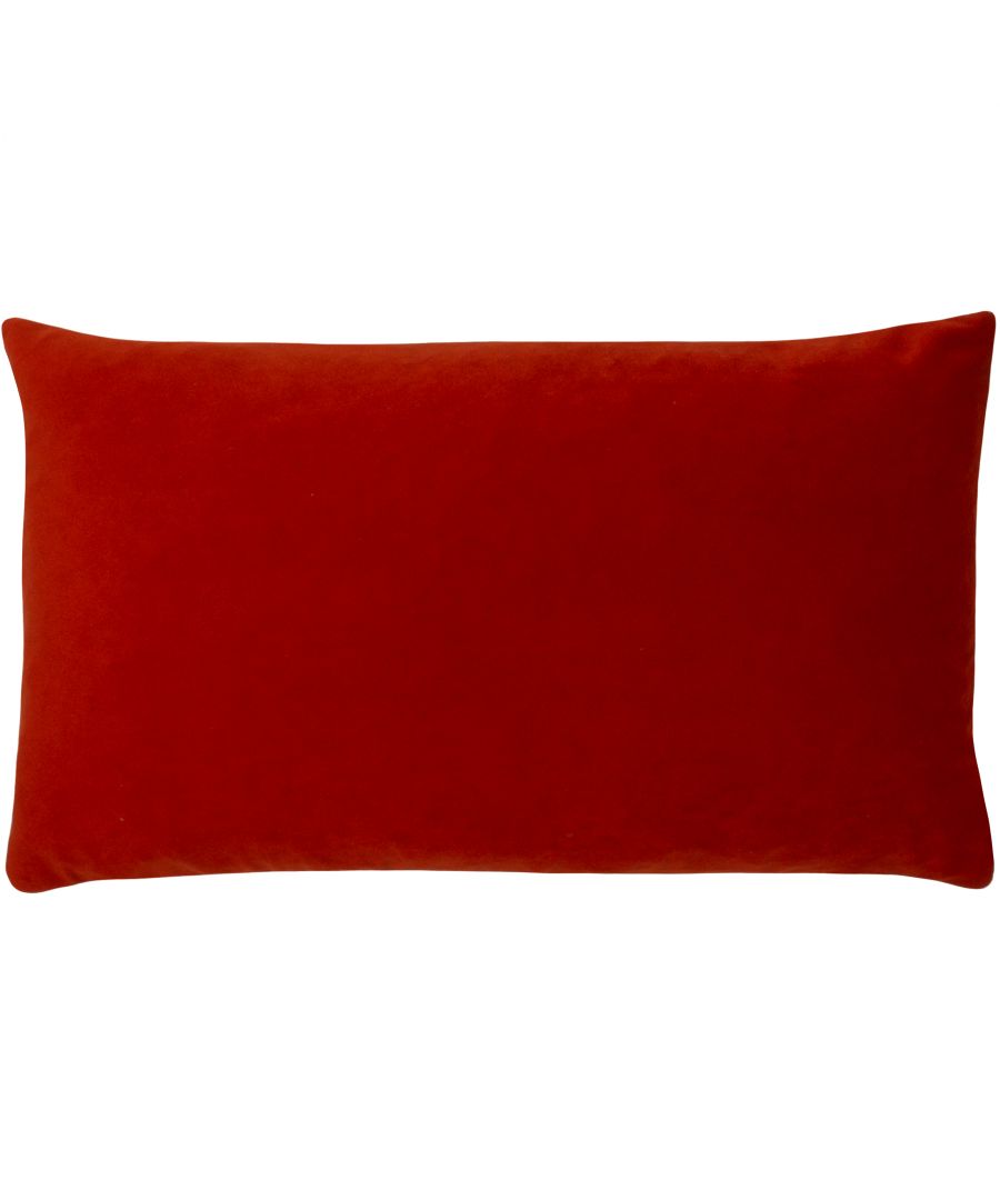 Rectangular red cushion by Paoletti, measuring 50 cm x 50 cm, featuring a soft, plush velvet texture for added comfort and style.