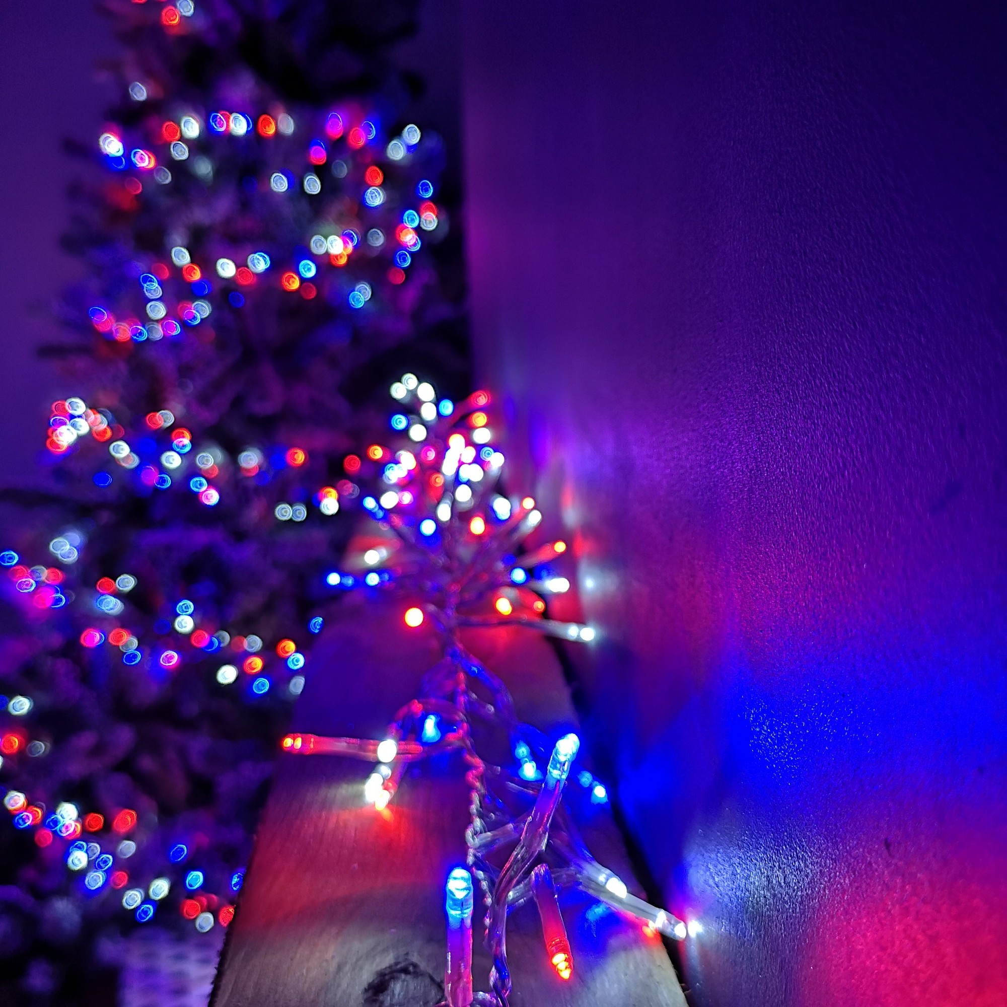 12.4M LED Premier Cluster Christmas lights in red, white, and blue, featuring a timer, with vibrant, twinkling bulbs on a clear wire, draped along a surface.