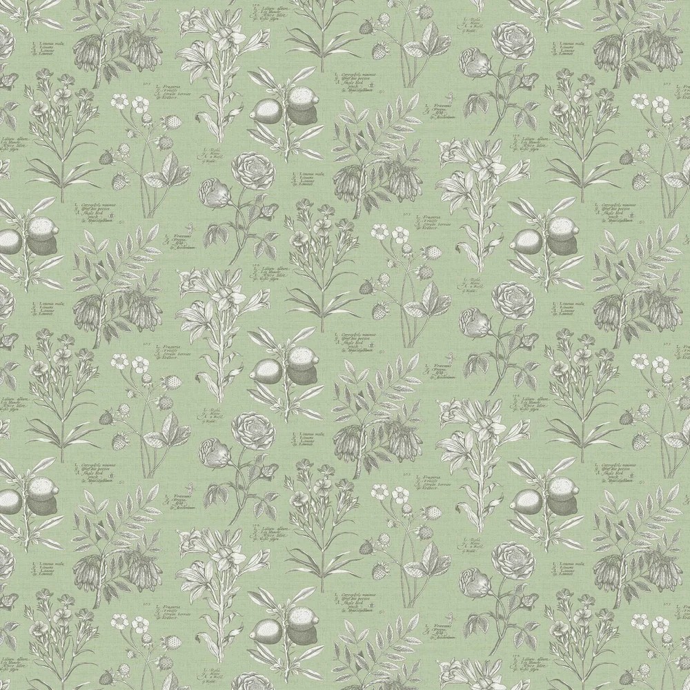 Botanical wallpaper featuring a soft green background with detailed sketches of flowers, leaves, and fruits in white and gray tones, showcasing a vintage botanical theme.