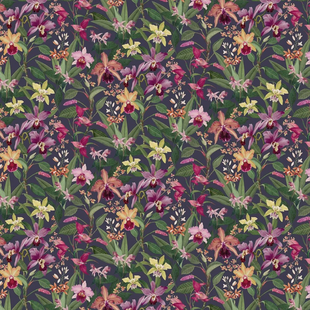 Vibrant orchid botanical wallpaper featuring a rich dark background adorned with colorful orchids in shades of purple, yellow, and pink, surrounded by lush green leaves.