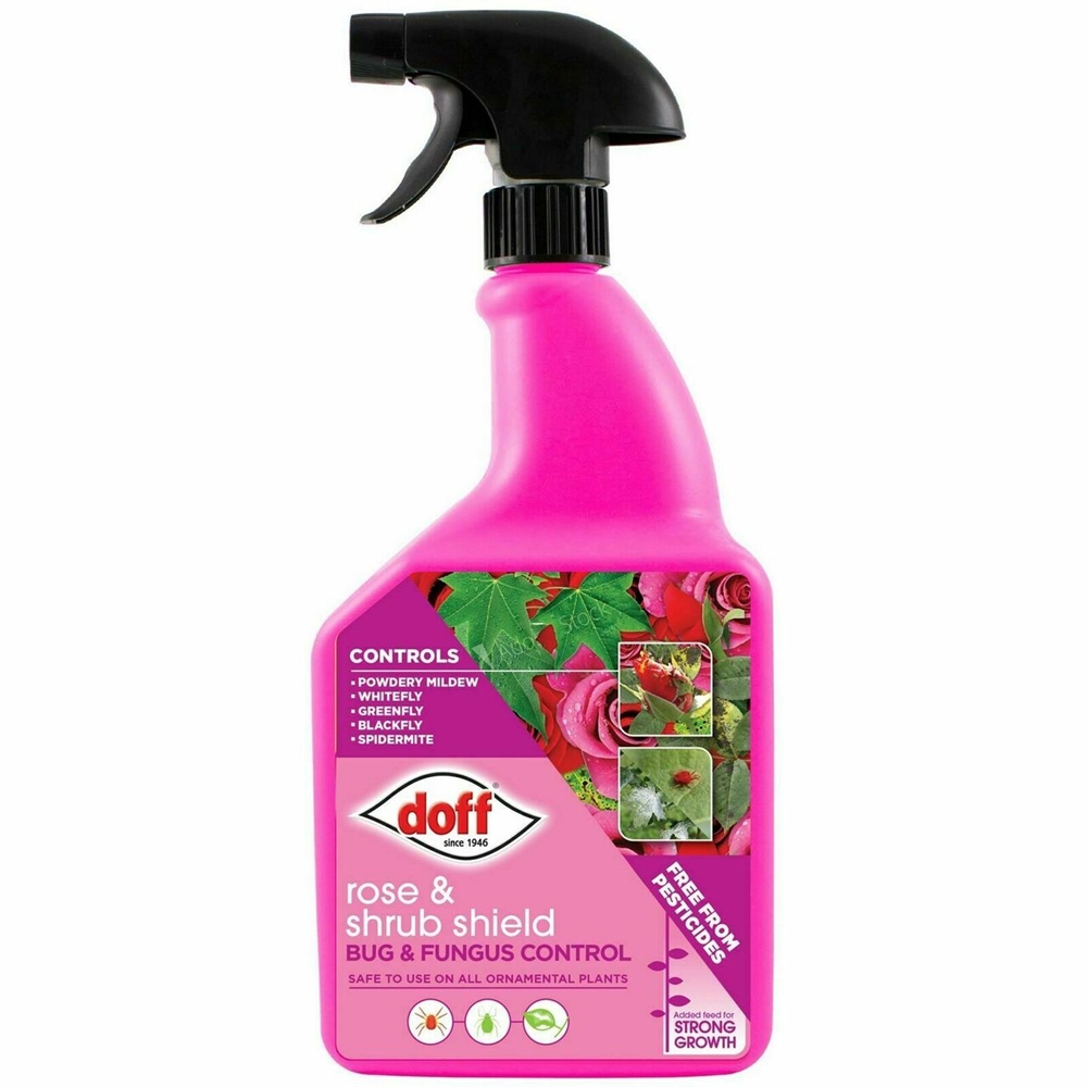 Bright pink spray bottle with a black trigger, labeled "Doff 2 in 1 Rose Shield Bug & Fungus Control," featuring images of affected plants and stating it’s safe for all ornamental plants.
