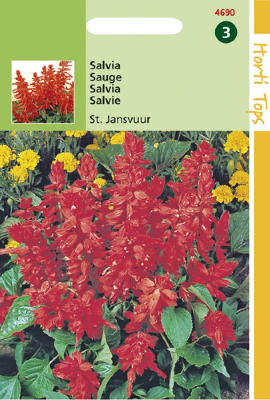 Bright red Salvia flowers with green leaves, featured on a seed packet by De Ree, labeled "Hortitops Bloemzaden - Salvia," with a yellow and green background.