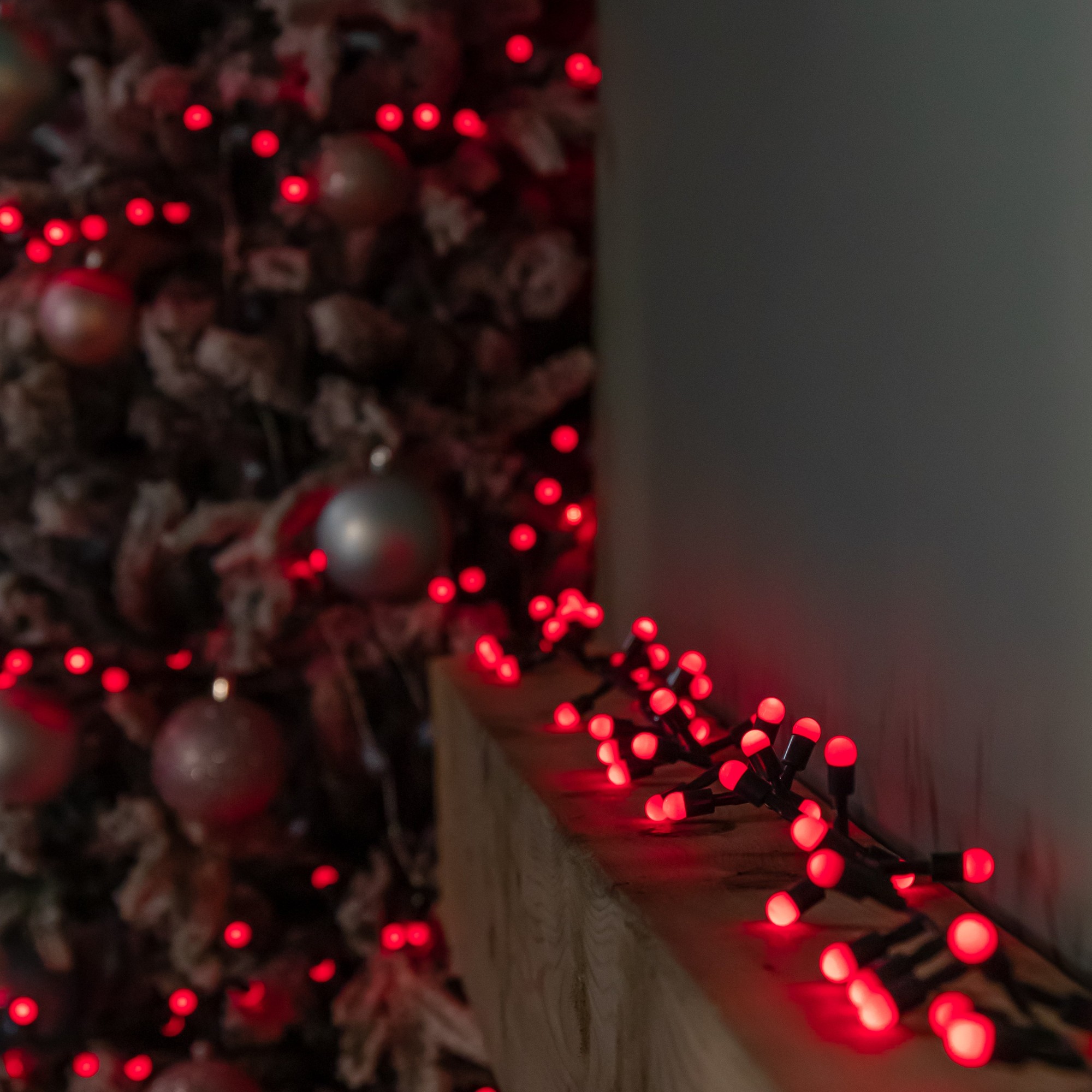 Red LED Christmas berry string lights by Samuel Alexander, featuring vibrant red bulbs on a dark wire, elegantly illuminating a festive setting.