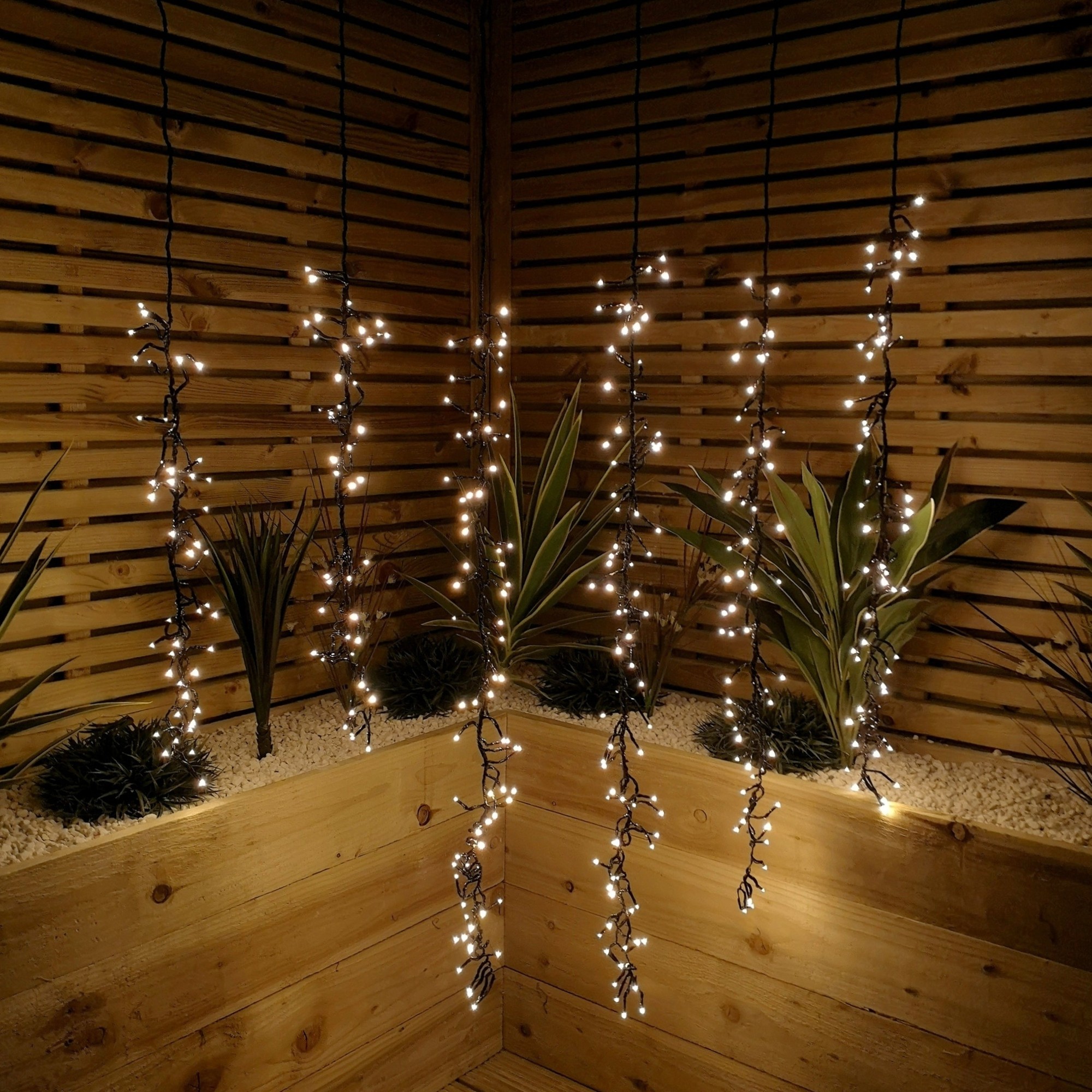 Set of 6 multi-action Christmas cluster lights featuring 384 warm white bulbs on black wire, hanging elegantly against a wooden backdrop with greenery.