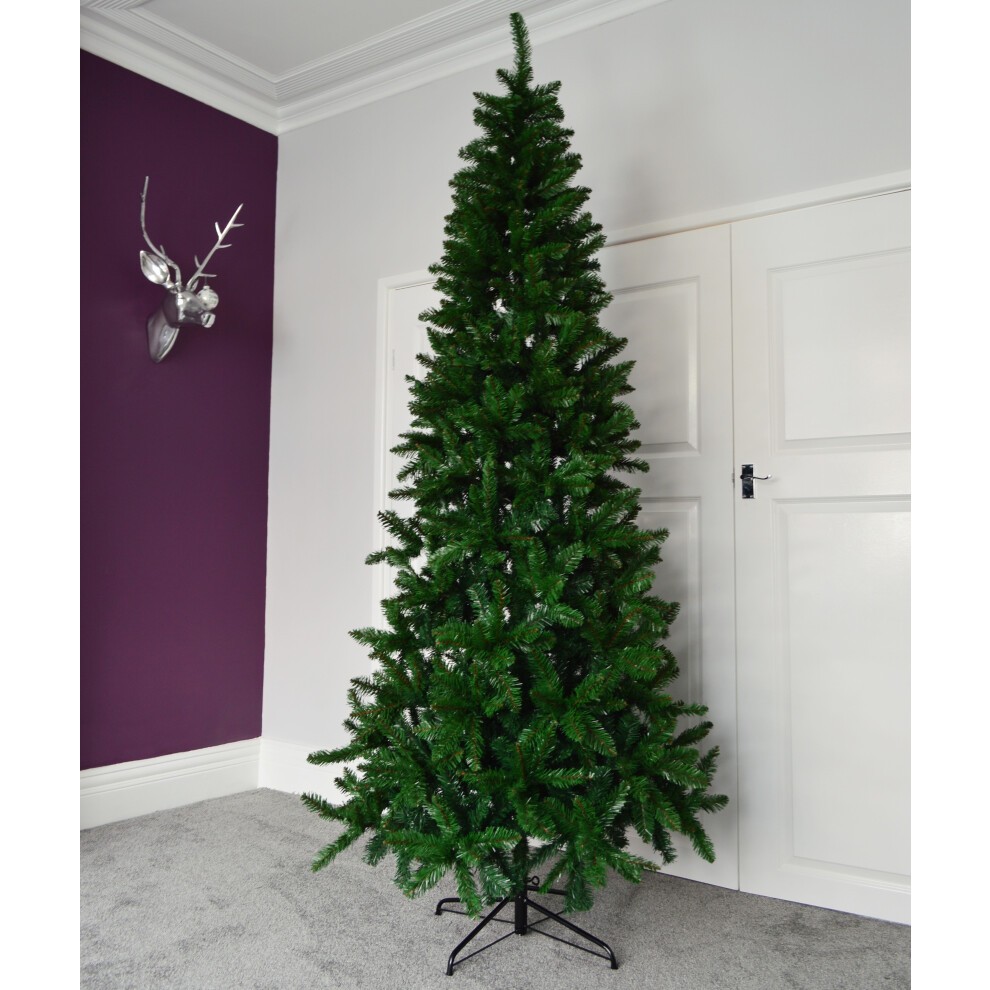 Tall, slim green pine Christmas tree measuring 8ft (240cm) with 1,162 tips, featuring a sturdy black metal stand, set against a light-colored wall and purple accent wall.
