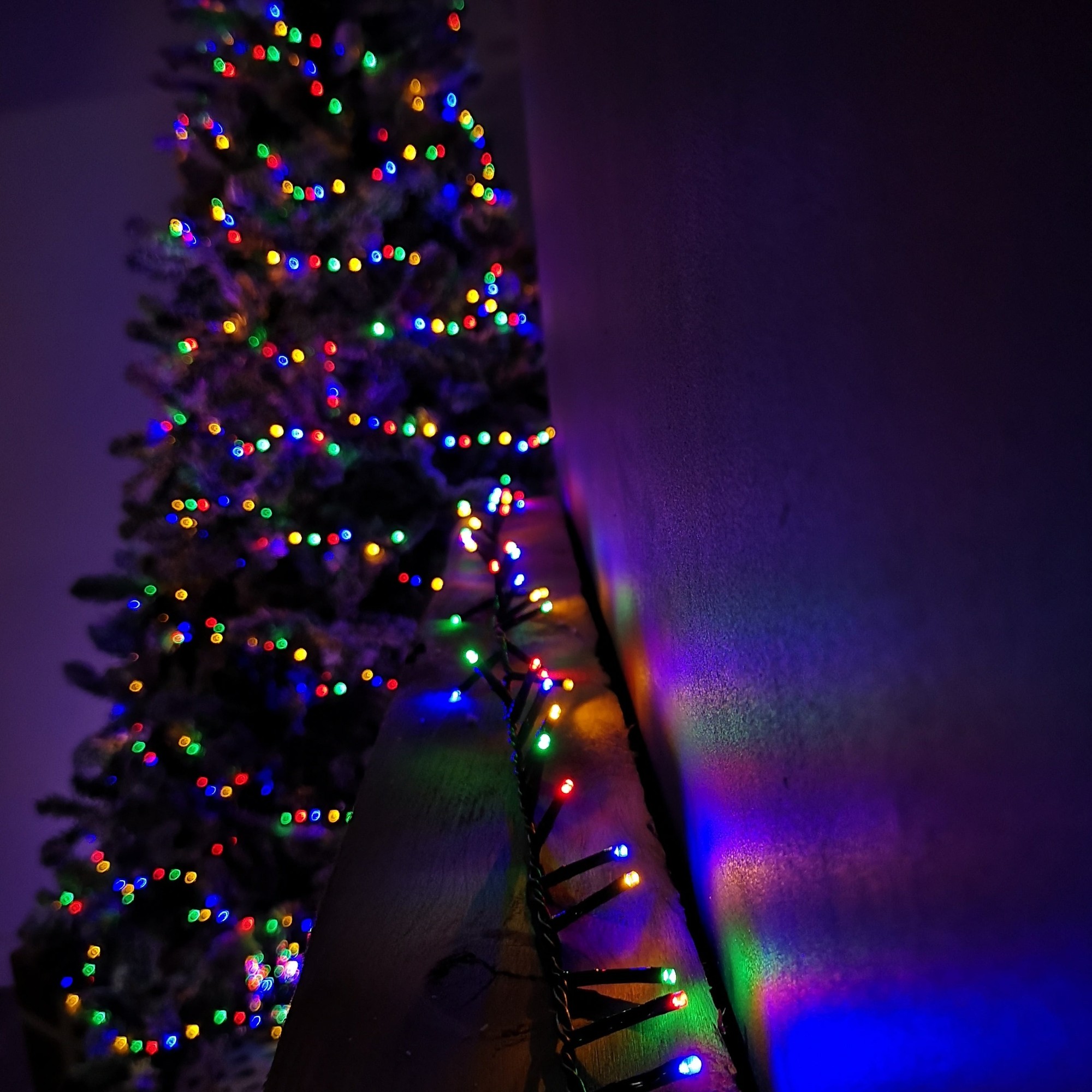 Multi-coloured Christmas lights with 240 LEDs, featuring a timer, draped along a surface, illuminating a backdrop of a decorated Christmas tree.