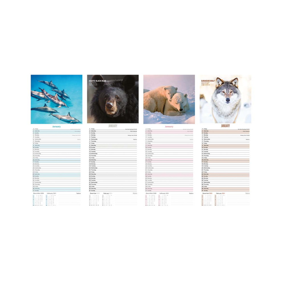 Single Tallon Wildlife Slim Calendar 2026 in Assorted styles - image 2