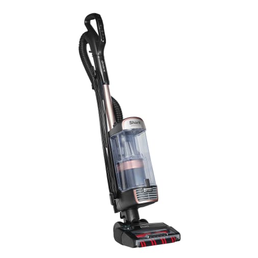 Stratos Anti Hair Wrap Plus Upright Vacuum Cleaner in rose gold and black, featuring a transparent dust container, flexible hose, and a motorized brush head for effective cleaning.