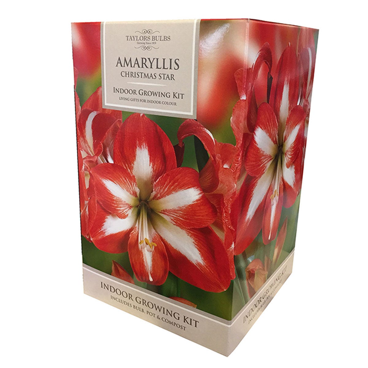 YouGarden Amaryllis Gift Pack features a vibrant red and white flower design on a brown box, labeled as an indoor growing kit with included bulb, pot, and compost.