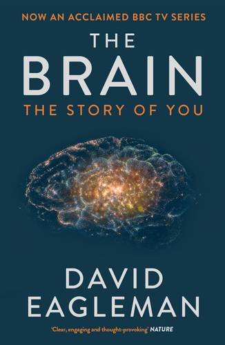 A paperback book titled "The Brain: The Story of You" by David Eagleman, featuring a cosmic brain illustration on a dark blue background with white and orange text.