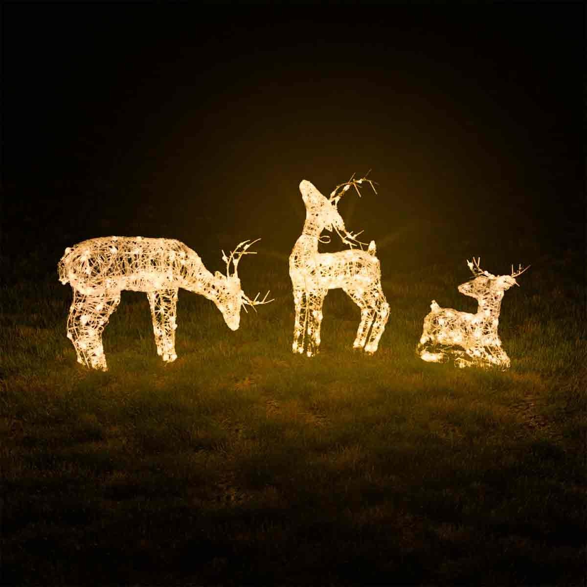 Three illuminated reindeer figures made of soft acrylic, featuring 260 clear LED lights, arranged in a family pose against a dark background.