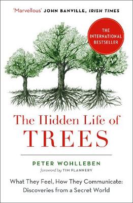 Book cover featuring a detailed illustration of green trees, with the title "The Hidden Life of Trees" in bold red text, and the author's name, Peter Wohlleben, in smaller black font below.
