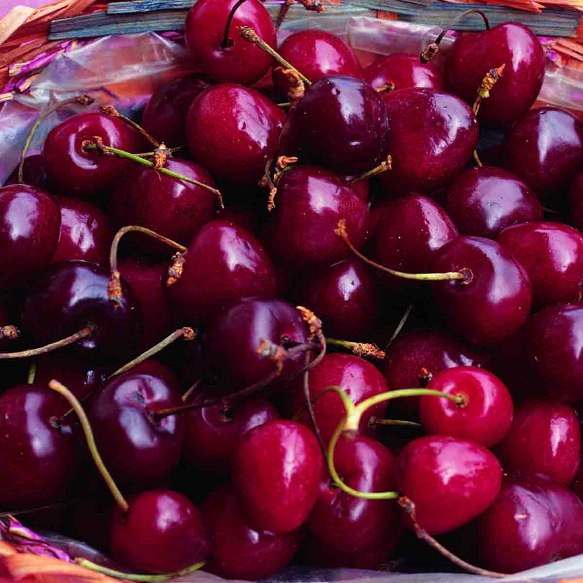 A basket filled with ripe, glossy red cherries, showcasing their vibrant color and smooth skin, with some stems still attached.