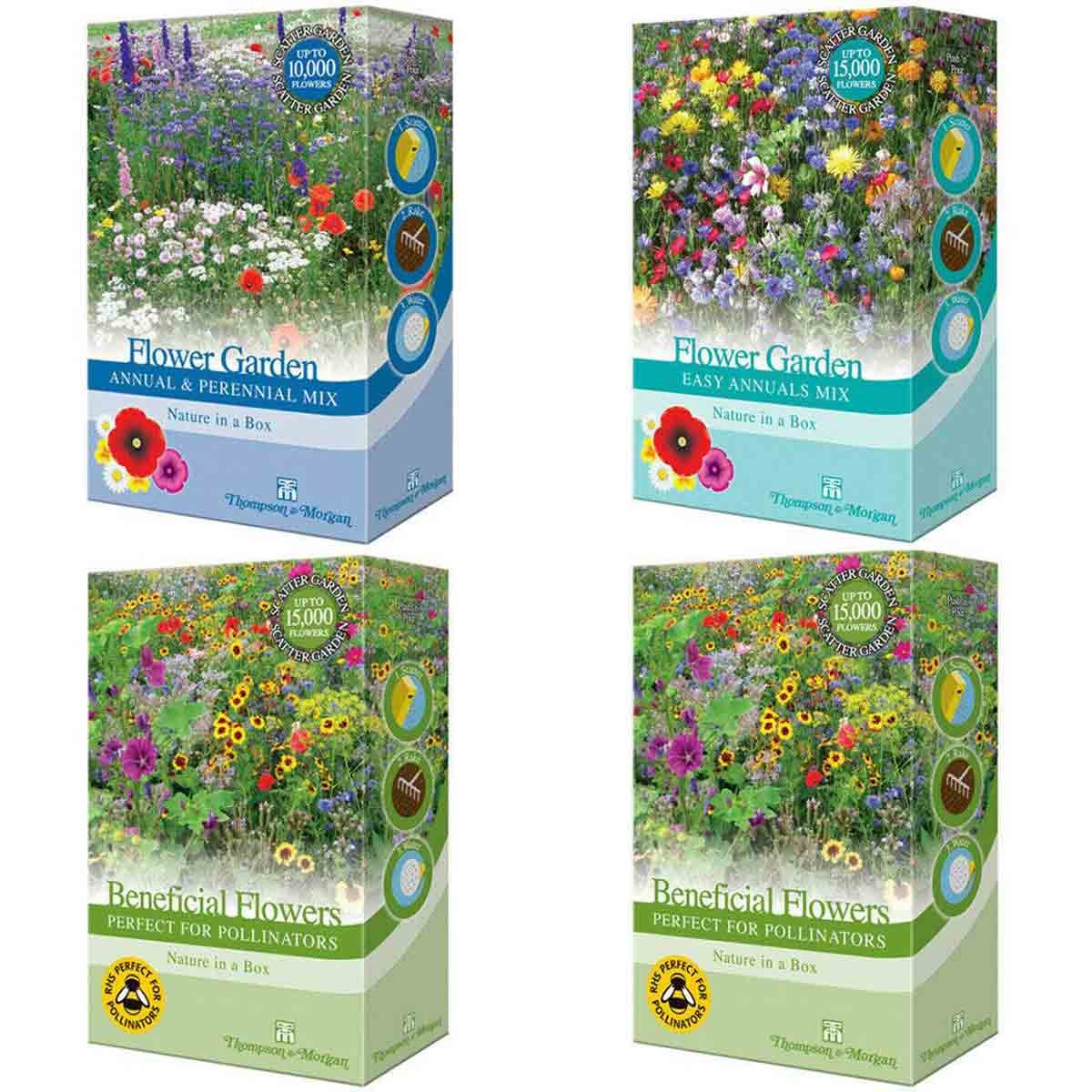 Four colorful seed boxes from Thompson & Morgan, featuring vibrant flower garden mixes labeled "Annual & Perennial Mix," "Easy Annuals Mix," and "Beneficial Flowers," ideal for pollinators.