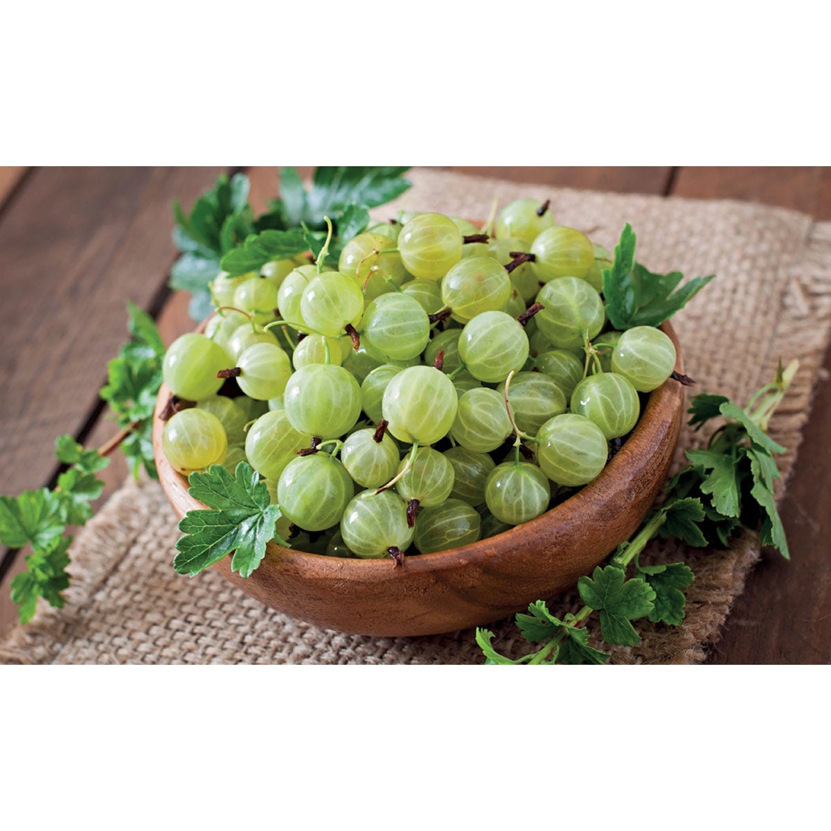 A wooden bowl filled with fresh, green gooseberries, surrounded by green leaves on a textured burlap surface.