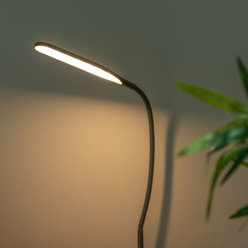 Black LED desk lamp with a flexible neck, adjustable daylight brightness, and a sturdy clamp, illuminating a soft background with a hint of greenery.