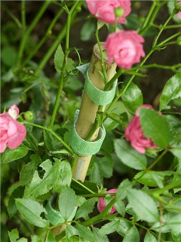 Velcro One Wrap Green Garden Ties 15cm 12 Pack - image 5