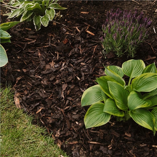 Westland Large Landscape Bark 90L - image 5