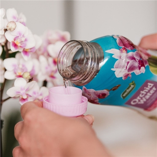 Westland Orchid Water Ready To Use Feed 720ml - image 3