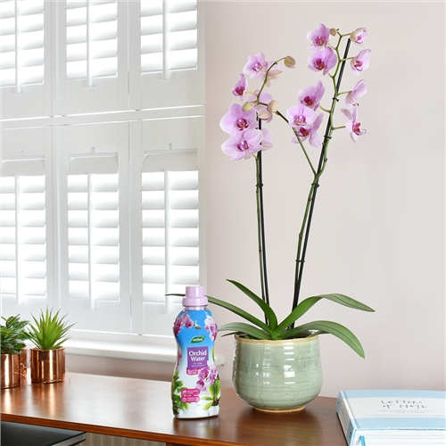 Westland Orchid Water Ready To Use Feed 720ml - image 5