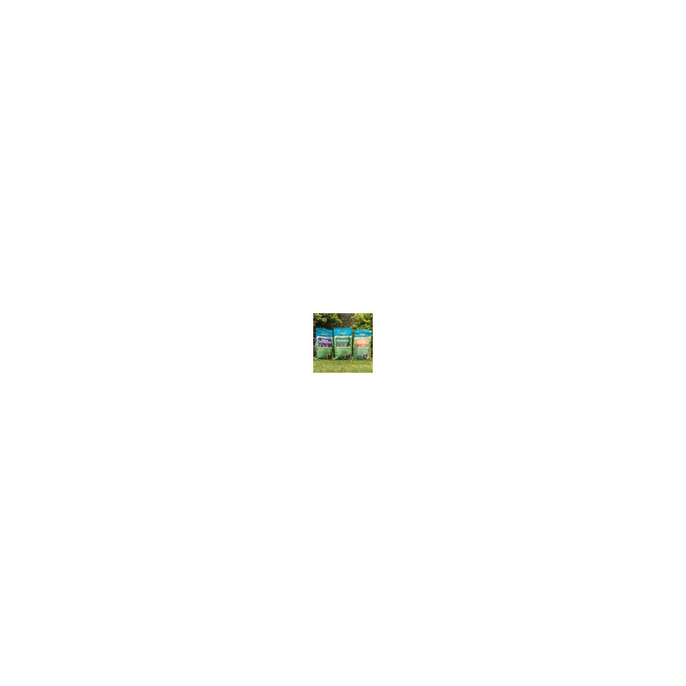 Westland Ultra Shade Professional All Soil Lawn Seed 9kg - image 3