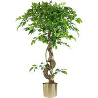 120cm twisted trunk artificial ficus tree with lush green leaves in a gold planter.