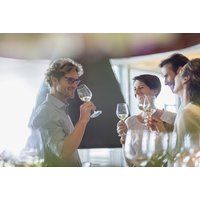 Group enjoying wine tasting, holding glasses in a bright vineyard setting, part of a guided tour experience for two.