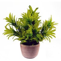 Light green artificial honey plant in a textured terracotta pot, 22cm tall, with lush, spiky leaves.