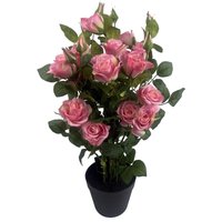 Pink silk rose bush with lush green leaves in a black pot, 60cm tall.