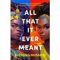 "Book 'All That It Ever Meant' by Blessing Musariri, vibrant cover with two illustrated figures in colorful attire"