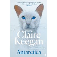 "Book cover of 'Antarctica' by Claire Keegan featuring a white cat with blue eyes against a light background"