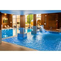 Indoor spa pool with blue water, wooden accents, loungers, and large windows overlooking a garden.