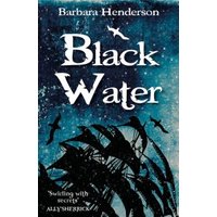 "Black Water book cover with dark ship silhouette, flying birds, and starry night sky background"