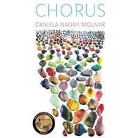 "Chorus book cover with colorful abstract shapes and award seal at bottom left"
