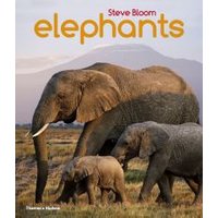 Book cover titled "Elephants" by Steve Bloom, featuring three elephants walking in a grassy landscape.