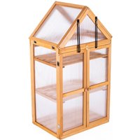 Wooden greenhouse with three shelves, clear panels, and a peaked roof, measuring 116 x 63cm.