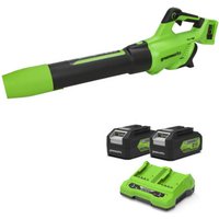 Green and black Greenworks cordless leaf blower with ergonomic handle, two lithium batteries, and dual battery charger.