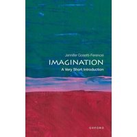 "Book titled 'Imagination' by Jennifer Gosetti-Ferencei, abstract cover with green, blue, and red brushstrokes."